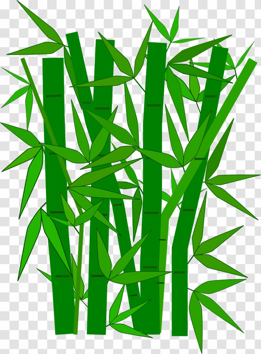 Bamboo Textile Green Clip Art - Grasses - Four Gentlemen Of Transparent PNG