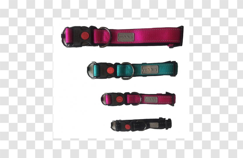 Dog Collar Magenta - Collars Transparent PNG