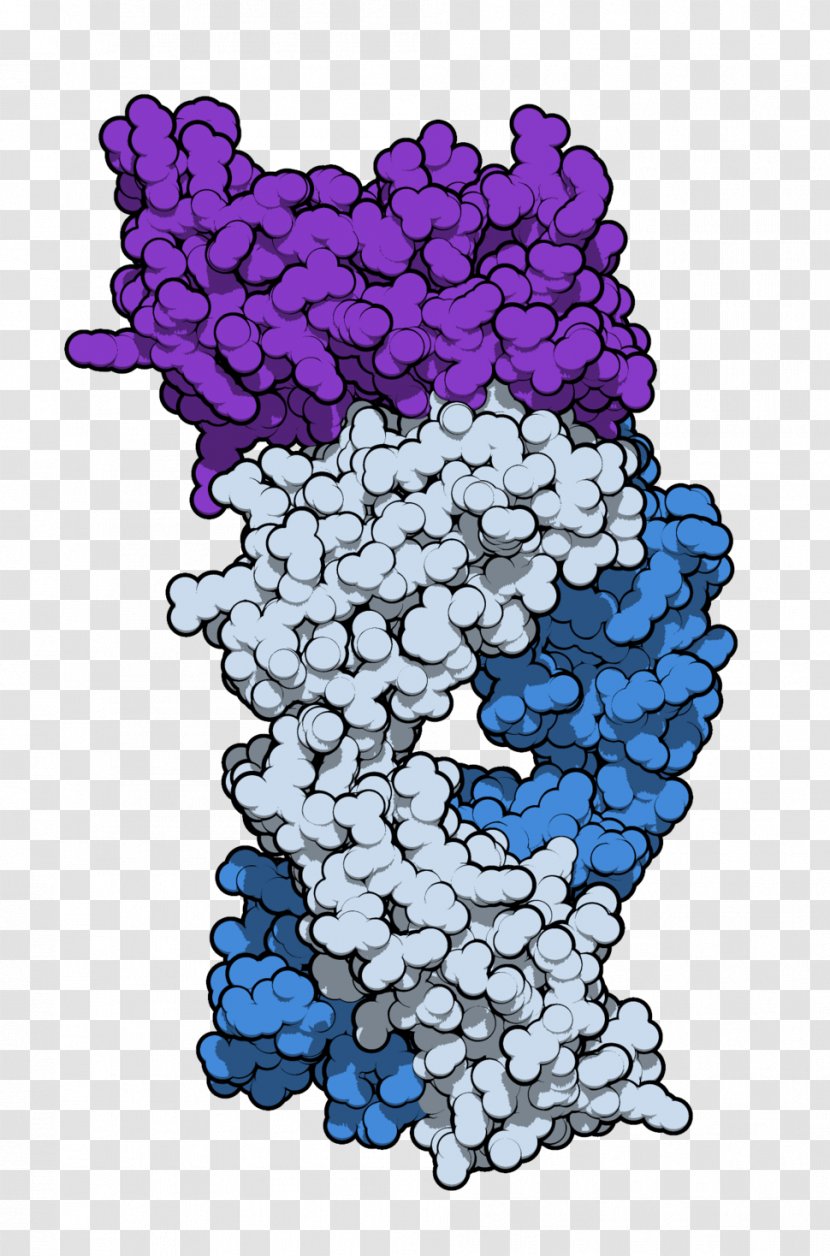 Sifalimumab Systemic Lupus Erythematosus Anifrolumab Dermatomyositis Polymyositis - Grapevine Family Transparent PNG