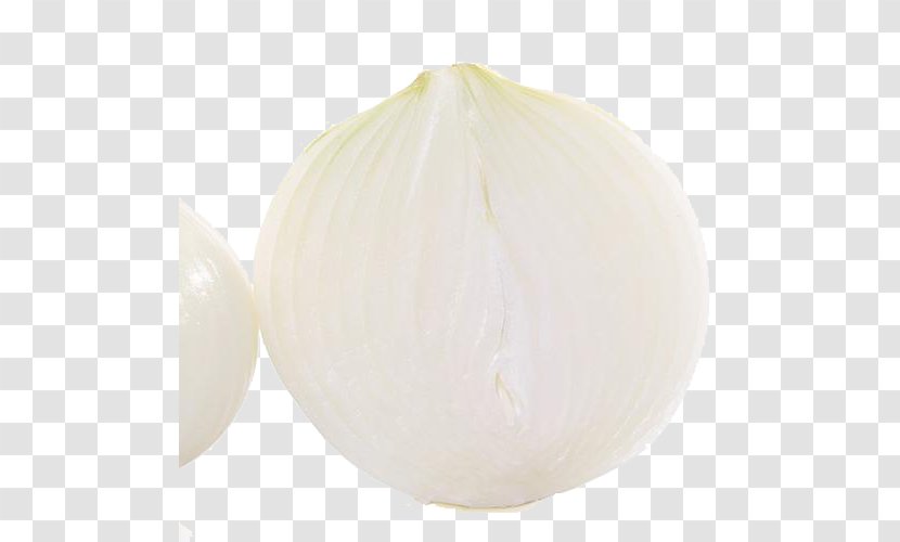 Onion Organic Food Vegetable - Silhouette Transparent PNG