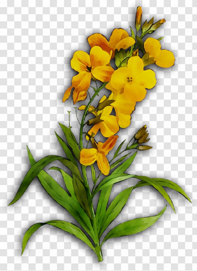 Floral Design Cut Flowers Yellow Plant Stem - Bouquet - Wildflower Transparent PNG