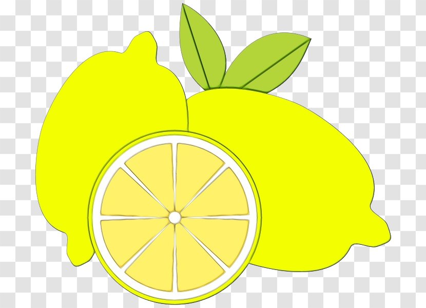 Citrus Lemon Yellow Fruit Leaf - Plant - Lime Transparent PNG