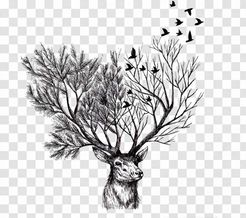 Deer Paper Tree Drawing Illustration - Illustrator Transparent PNG
