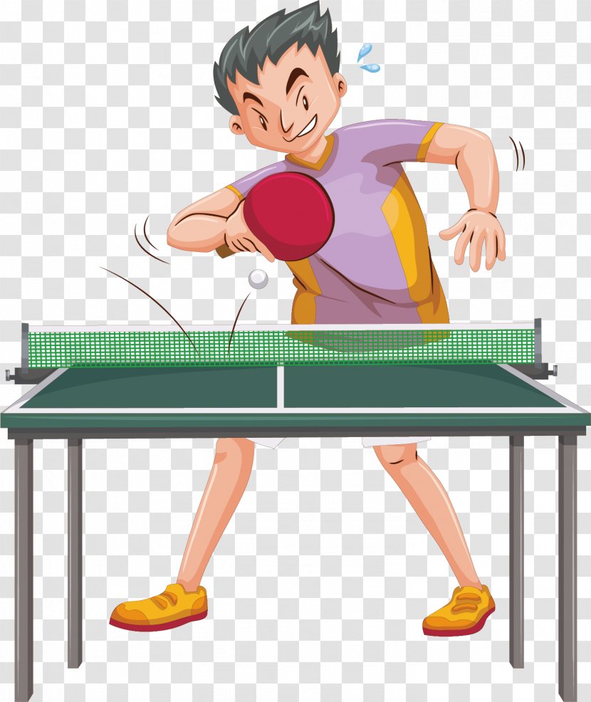 Table Tennis Racket Stock Photography - Furniture - The Match Transparent PNG