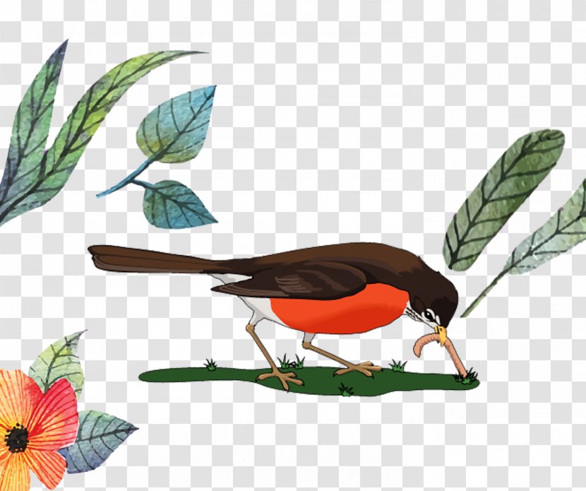 Download Illustration - Leaf - Cartoon Bird Transparent PNG