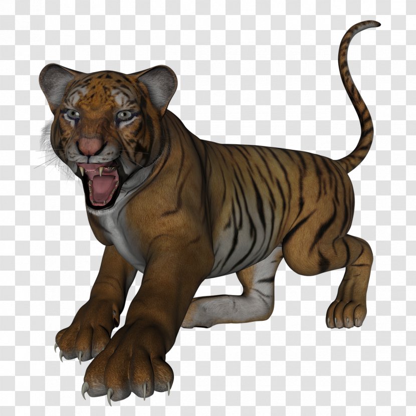 Dog And Cat - Lion - Roar American Pit Bull Terrier Transparent PNG