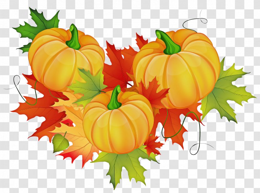 Autumn Plant - Garnish - Flower Thanksgiving Transparent PNG