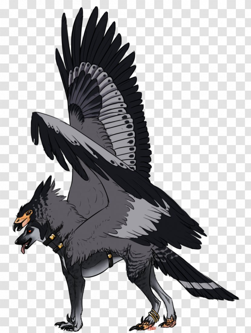 Bald Eagle Vulture Beak Fauna Transparent PNG
