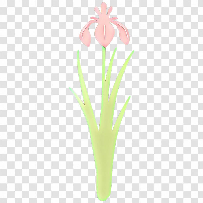 Flower Plant Grass Pedicel Cut Flowers Transparent PNG