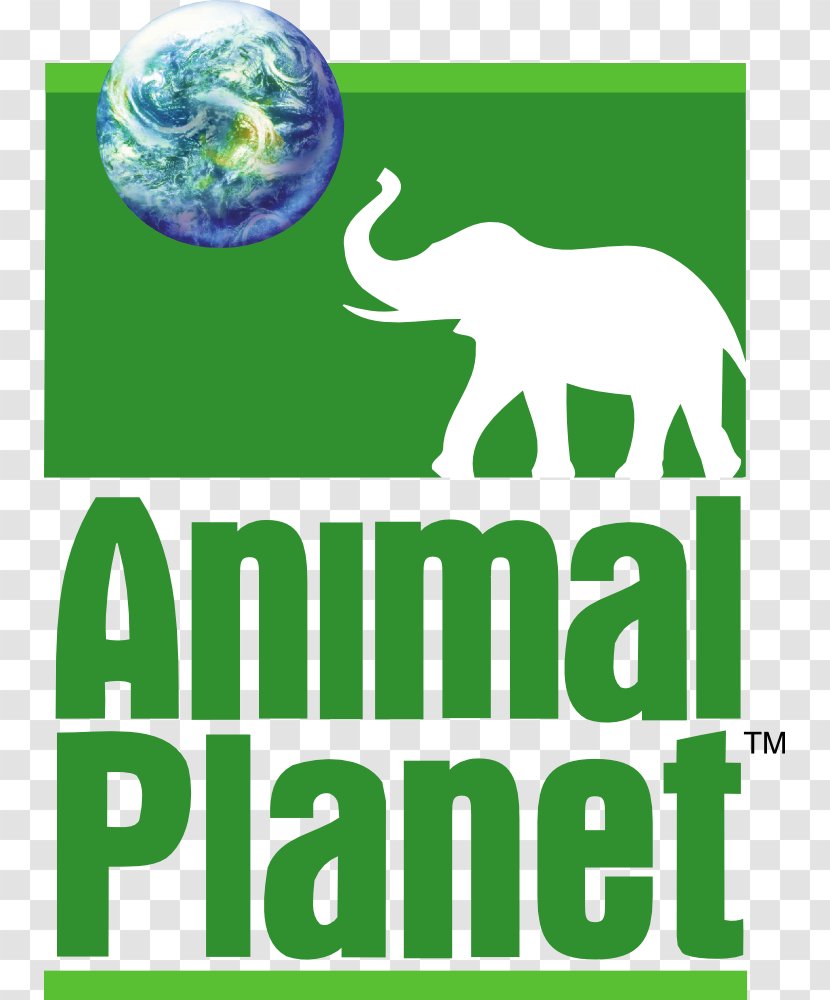 Animal Planet Television Channel - Plant - Logo Transparent PNG