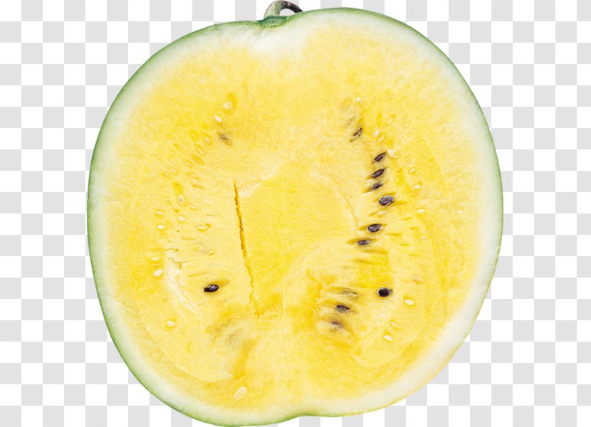 Watermelon Painting Kiwifruit Superfood Transparent PNG