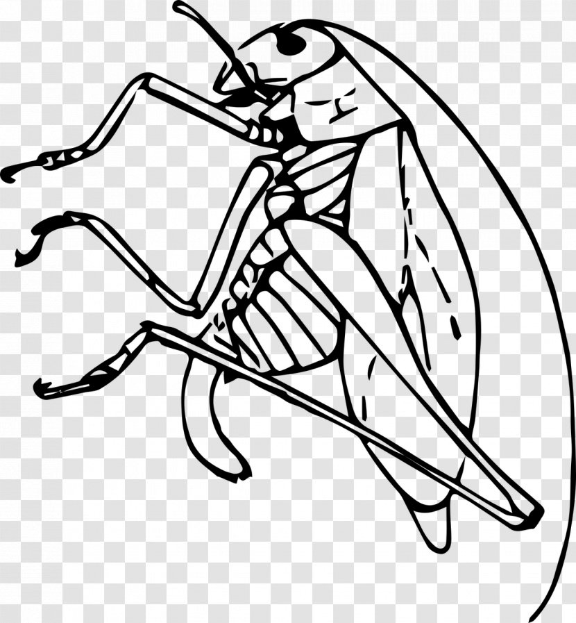 Public Domain Black And White Clip Art - Cricket Insect Transparent PNG