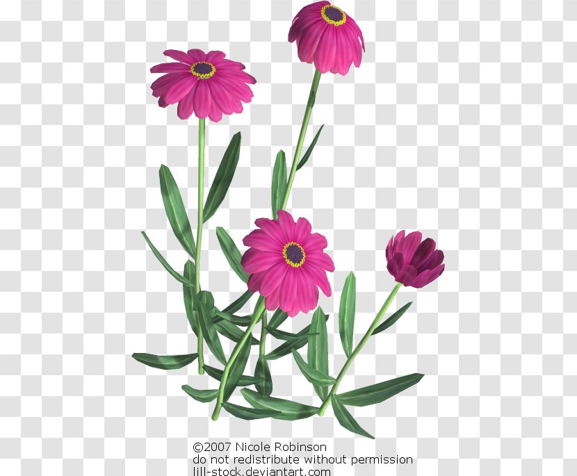 Flower Bouquet Floral Design Cut Flowers - Wildflower - Xander Graphic Transparent PNG