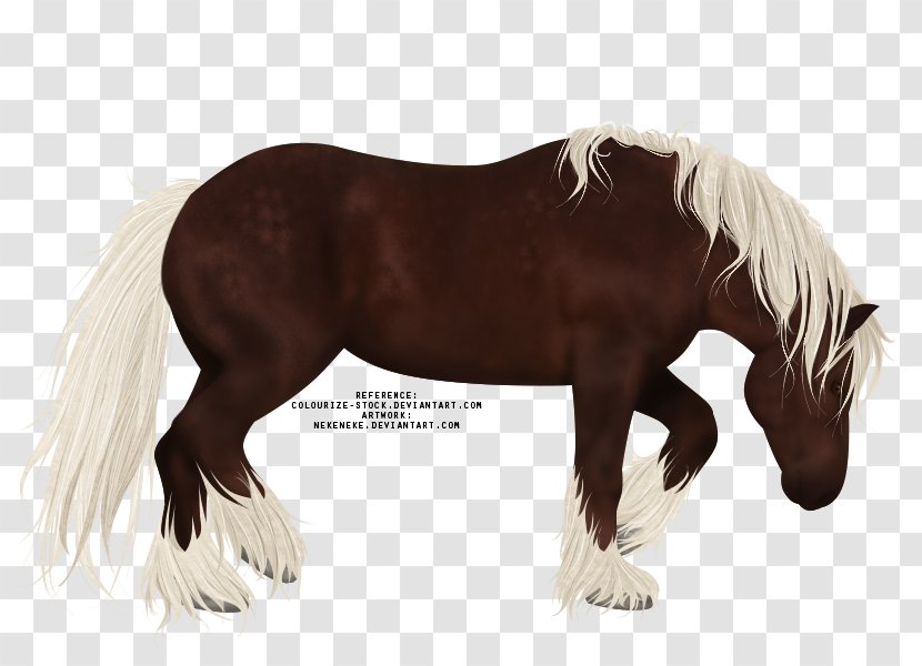 Mane Mustang Stallion Pony Mare - Rein - Digital Watercolor Transparent PNG