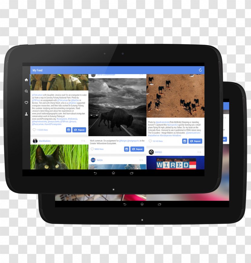 Android Instagram Tablet Computers Video - Multimedia - Orangutan Transparent PNG