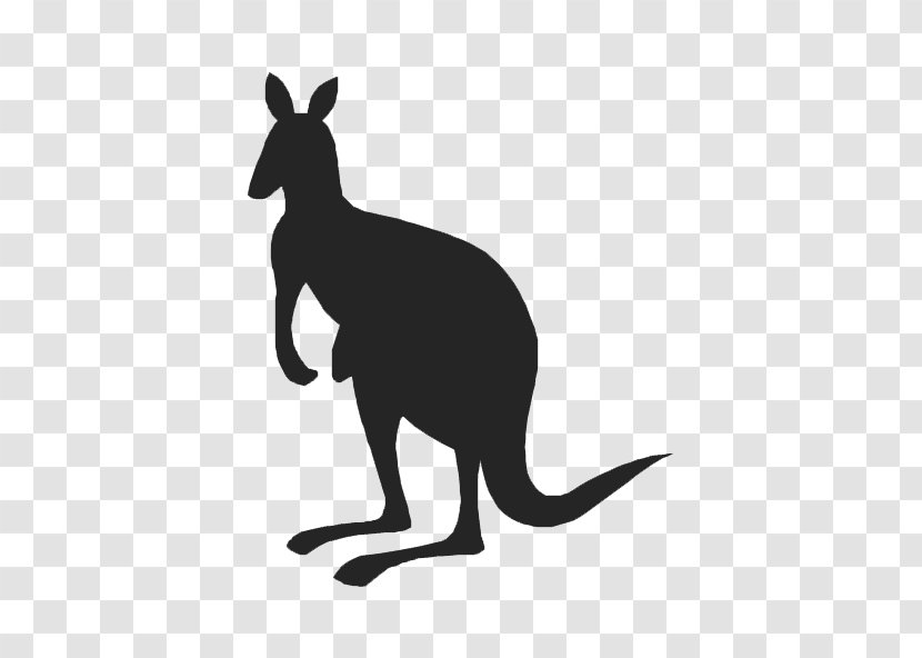 Kangaroo Silhouette Drawing Clip Art - Tail Transparent PNG