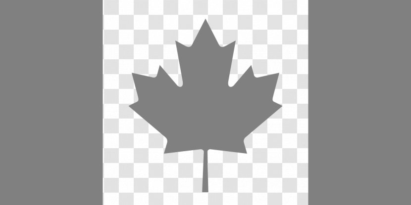 Flag Of Canada Maple Leaf Canadian Red Ensign - Flowering Plant Transparent PNG