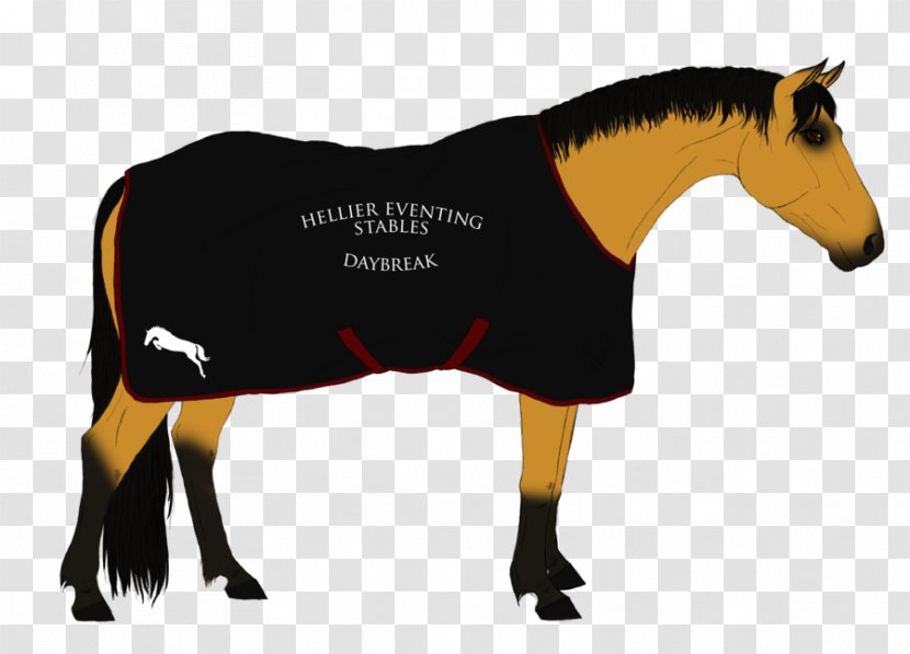 Mustang Stallion Rein Halter Pack Animal - Horse Transparent PNG
