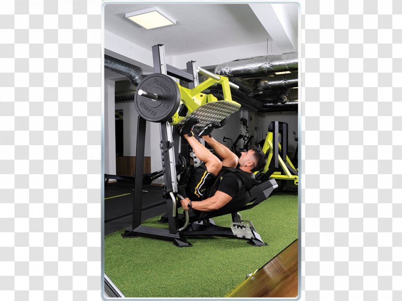 Physical Fitness Centre Training Shoulder Sports Venue - Exercise - Knee Transparent PNG