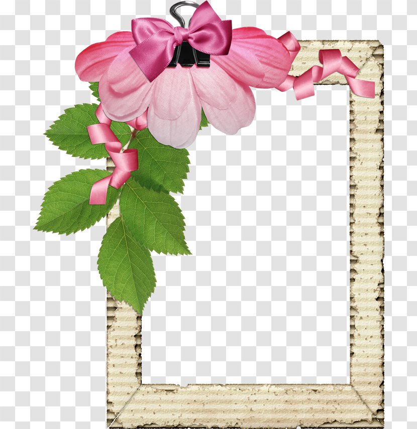 Pink Flower Border Frame - Designer Transparent PNG