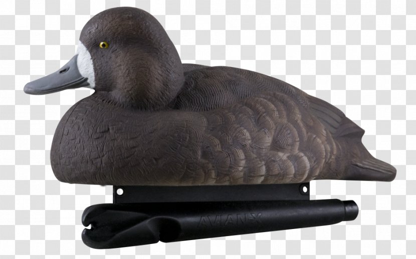 Duck Decoy Goose Hunting Transparent PNG