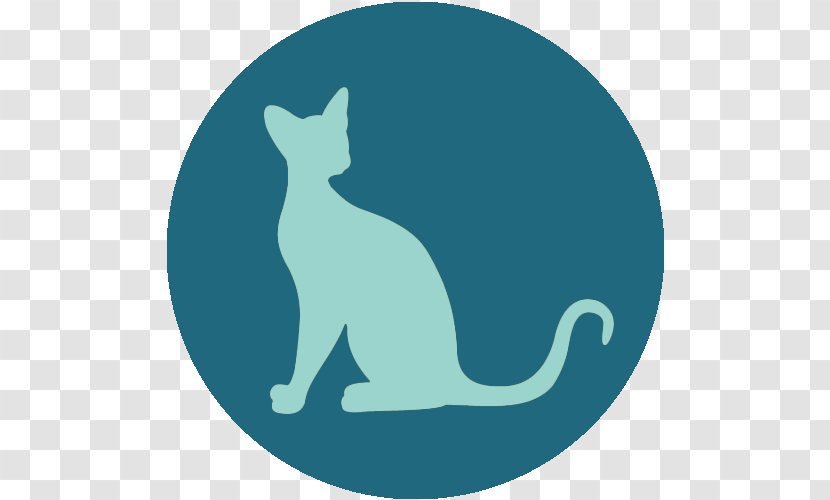 Whiskers Cat Dog Visual Perception Canidae - Mammal Transparent PNG