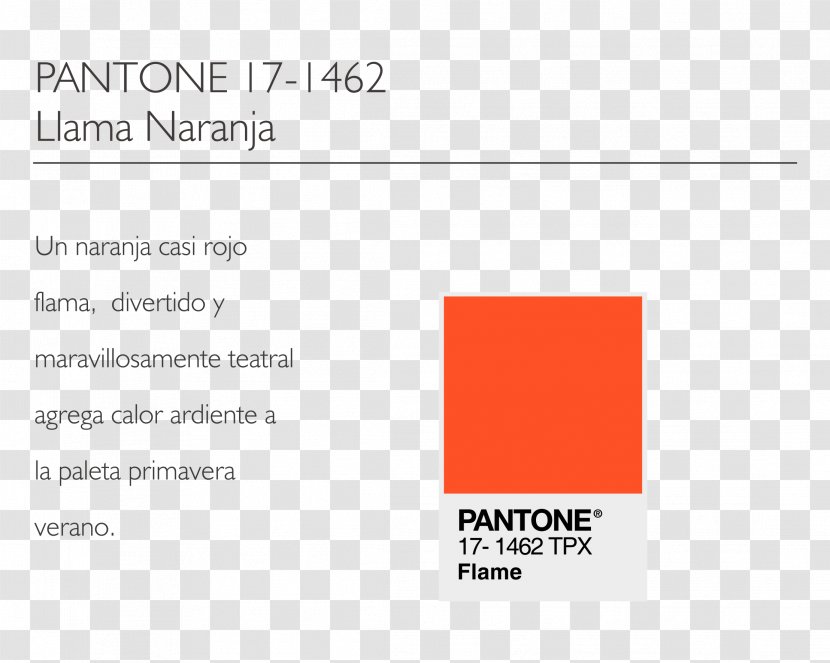 Document Product Design Logo Brand Line - Paper - Color Pantone Transparent PNG