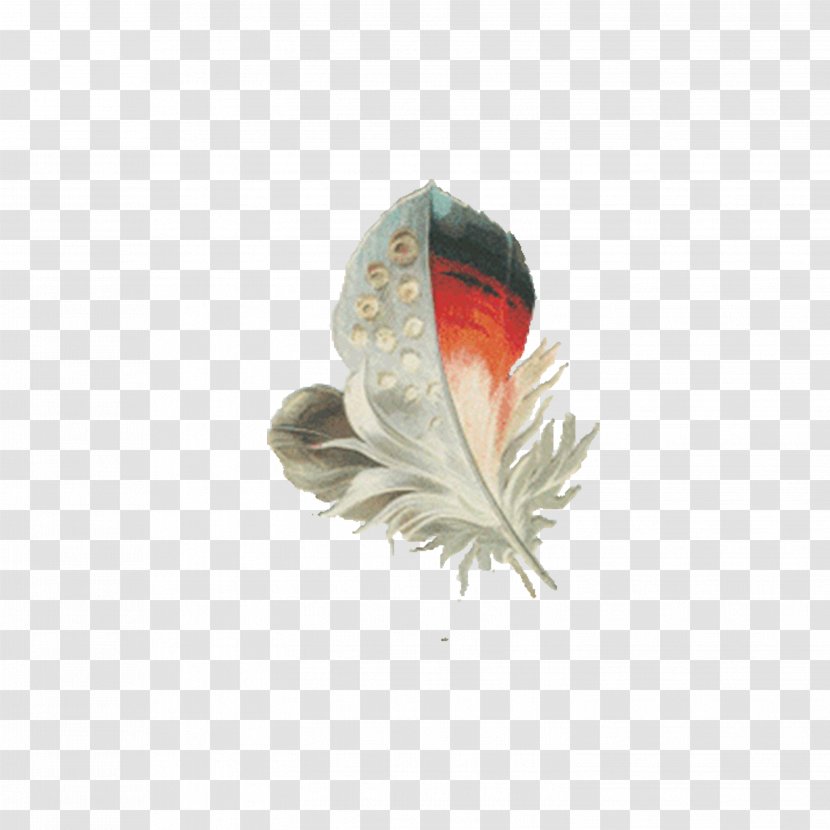 Feather Animation Clip Art - World Wide Web - In The Air Transparent PNG