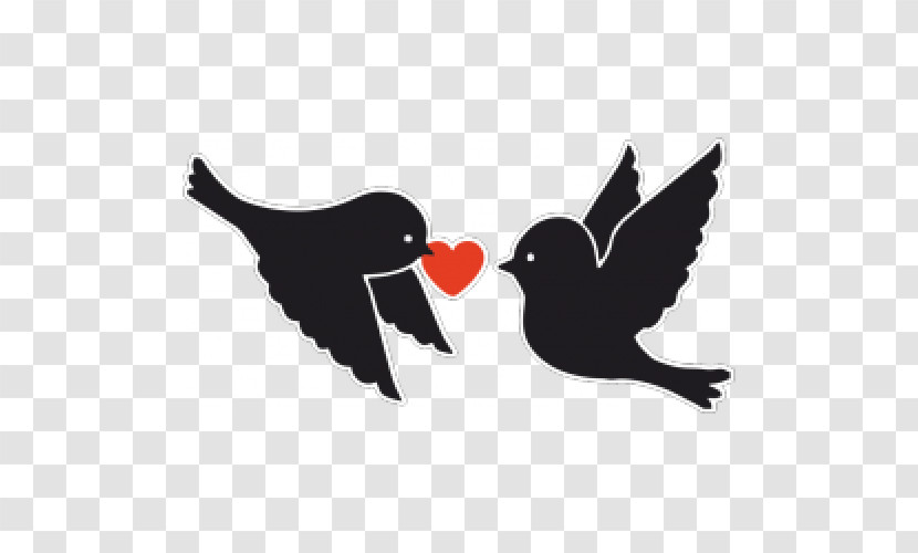 Bird Beak Wing Blackbird Logo Transparent PNG