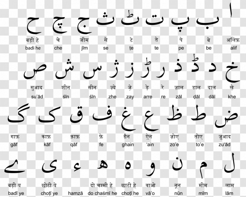 Devanagari Urdu Alphabet Translation English - Flower - Arabic Numerals Transparent PNG