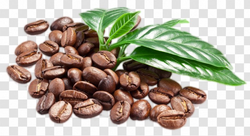Jamaican Blue Mountain Coffee Caffè Macchiato Espresso Bean - Cup - Beens Transparent PNG