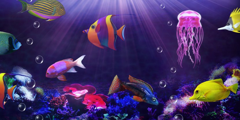 Elements 0 Candy - Aquarium - Free! Desktop Wallpaper WallpaperAquarium Transparent PNG