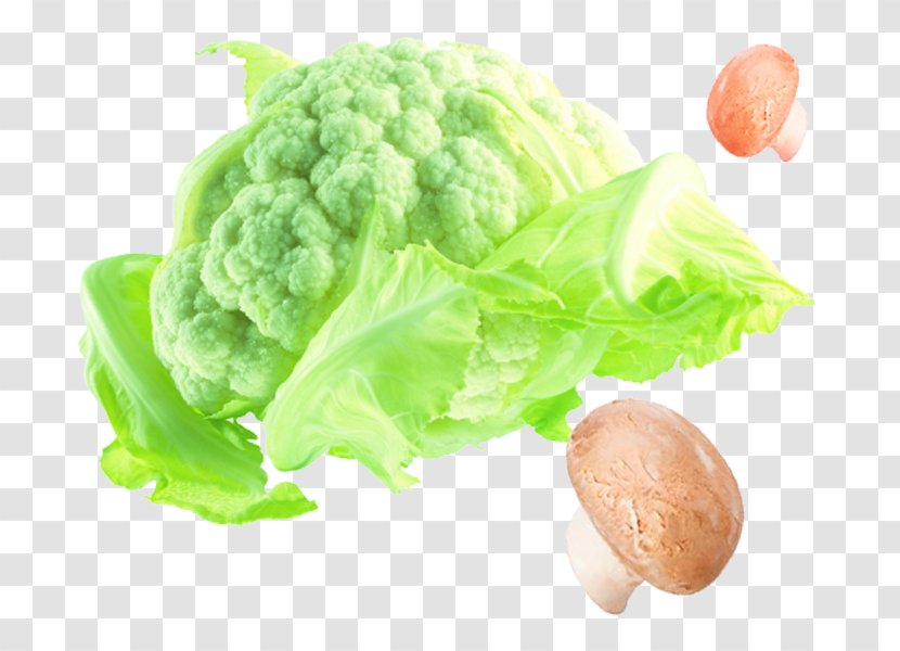 Cruciferous Vegetables Cauliflower Broccoli Cabbage - Ingredient - New Year Cooking Transparent PNG