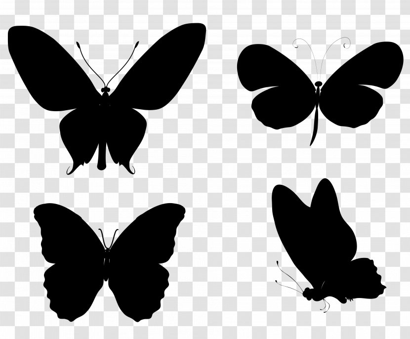 Monarch Butterfly Insect Silhouette Drawing - Photography - Symmetry Transparent PNG