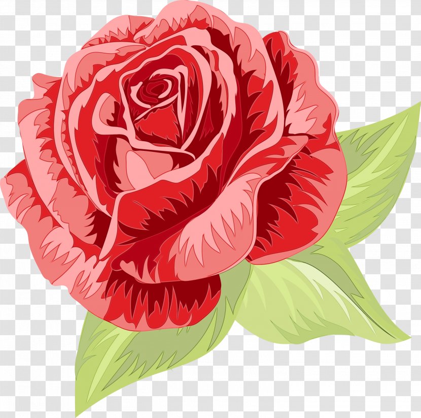 Bouquet Of Flowers Drawing - Garden Roses - Perennial Plant Artificial Flower Transparent PNG