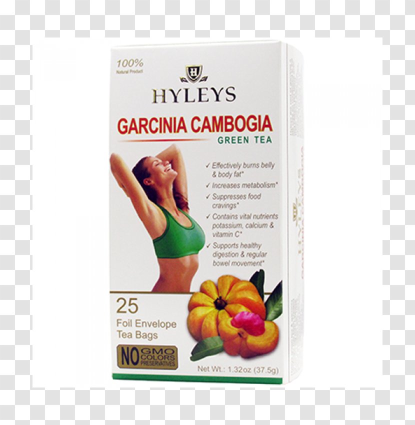 Green Tea Garcinia Cambogia Coffee Bag - Epigallocatechin Gallate Transparent PNG