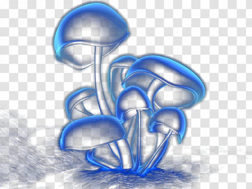 Fungus Drawing Wallpaper - Flower - Hand-painted Blue Mushrooms Transparent PNG