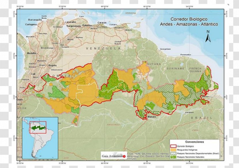 Amazon Rainforest Ecoregion Cachoeira Porteira Ministério Público Federal - Land Lot - Transnacional Transparent PNG