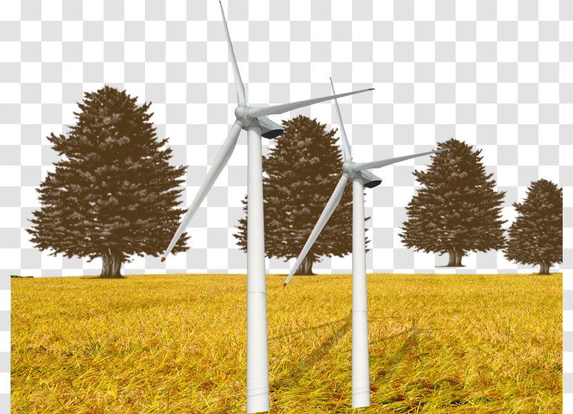 Windmill Paddy Field Rice - Farm - Golden Fields Transparent PNG