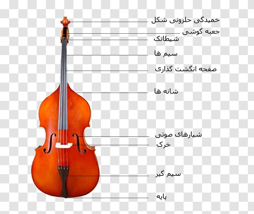 Bass Violin Double Violone Viola Octobass - Frame - Guitar Transparent PNG