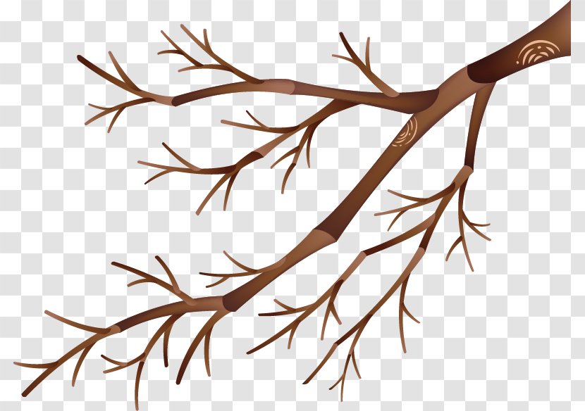 Twig Branch - Branches Transparent PNG