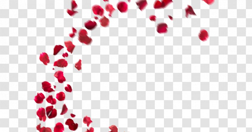 Flower Clip Art Petal Floral Design - Victorian - Red Roses Background Best Stock Transparent PNG