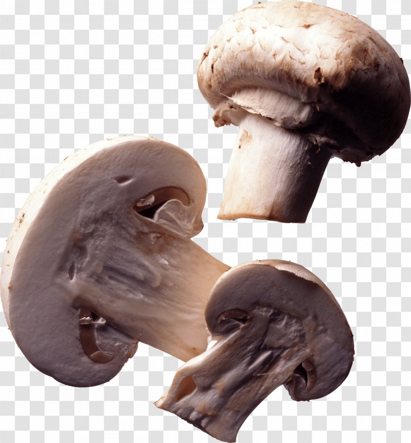 Common Mushroom Edible Nutrition - Eating Transparent PNG