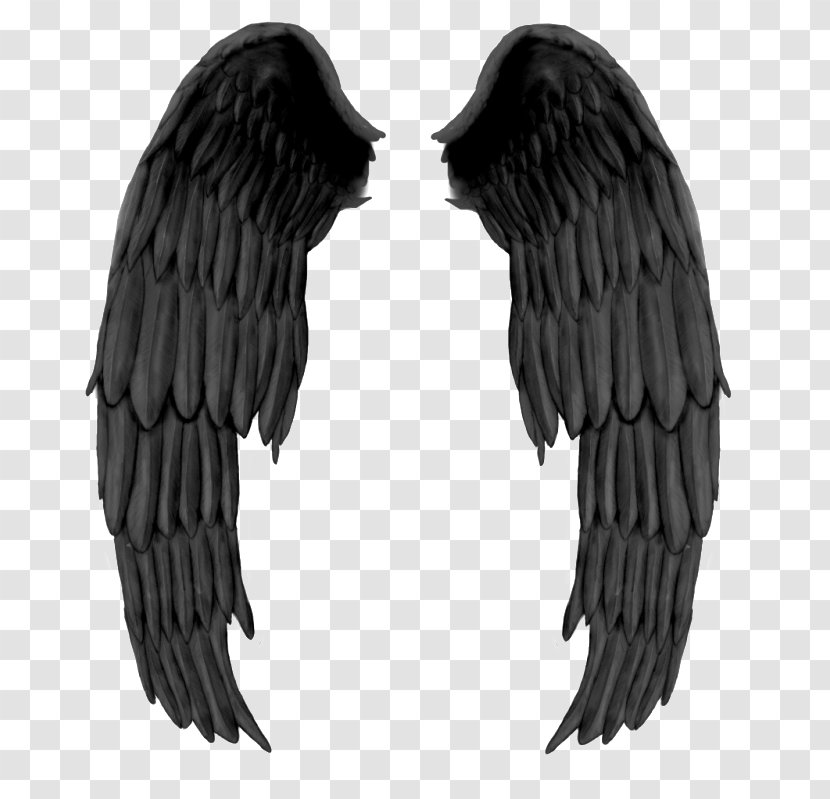 Wing Devil Black And White - Evil Wings Transparent PNG