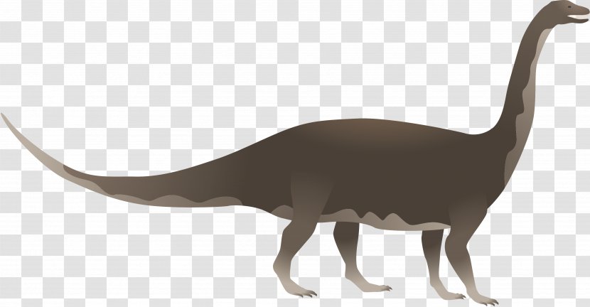 Riojasaurus Animal Dinosaur Art - Fauna Transparent PNG