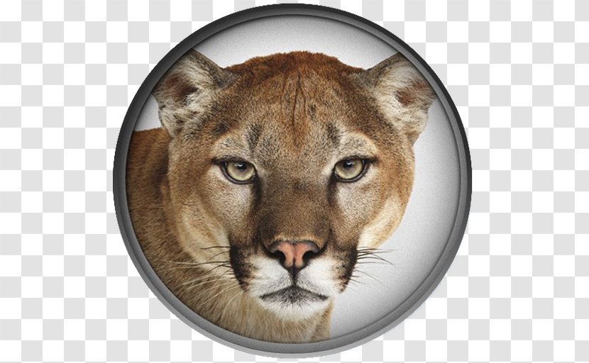 OS X Mountain Lion MacOS Mac Apple - Os - Drawing Transparent PNG