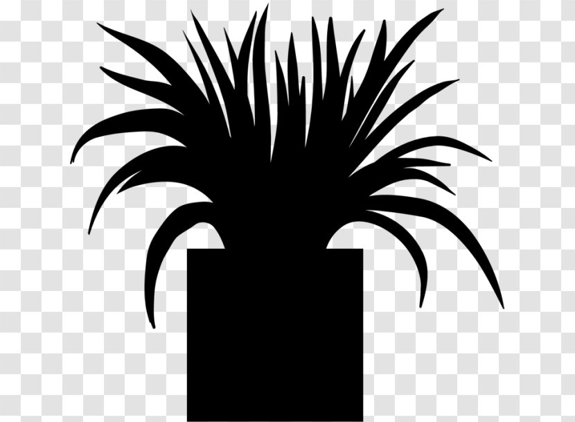 Palm Trees Clip Art Desktop Wallpaper Computer Line - Bromeliaceae - Plant Transparent PNG