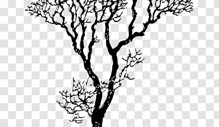 Image Decal Canvas Gift Mountain - Monochrome - Newton Apple Tree Transparent PNG