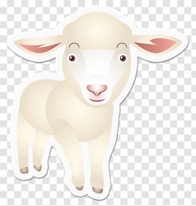 Sheep Goat Cattle Snout Animal - Figure Transparent PNG