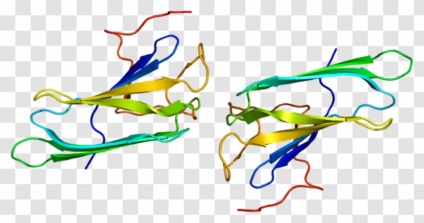 PTGES3 Protein Prostaglandin E Synthase Co-chaperone Hsp90 - Cartoon - Xenobiotic Transparent PNG